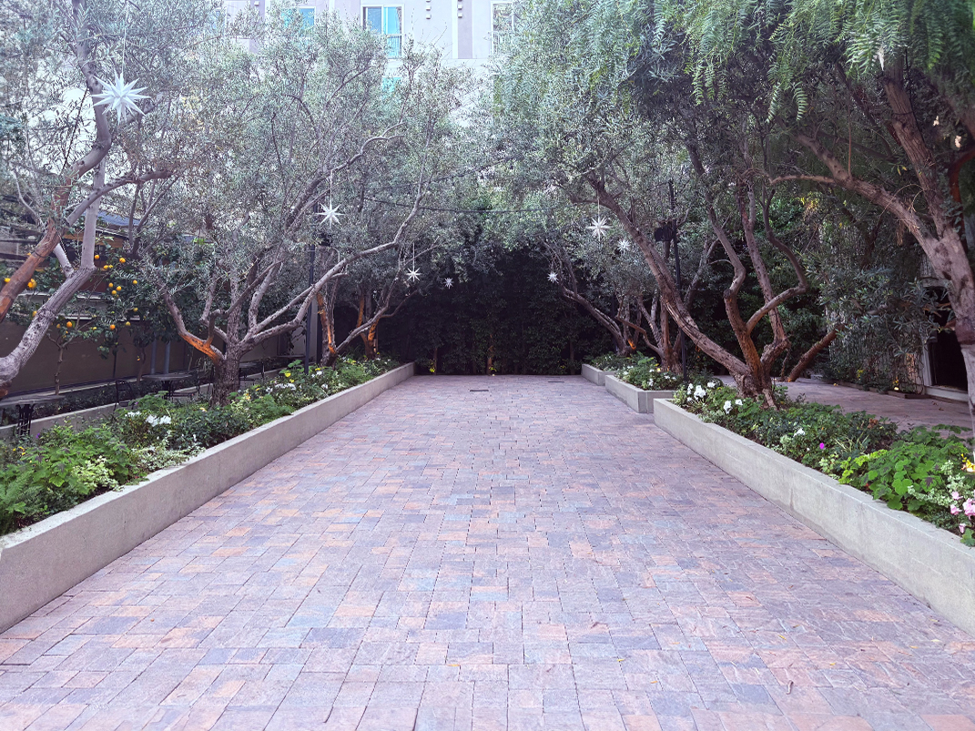 Redbird Garden - Before