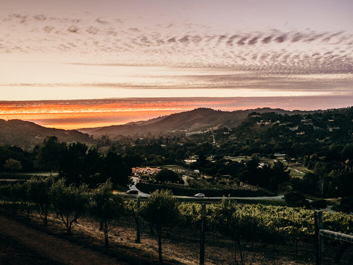 CARMEL SUMMER SOIRÉE